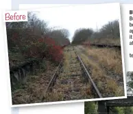  ??  ?? BeforeBurn Naze before… The weed and treechoked track and platform at Burn Naze station in 2007 after 40 years of unchecked growth.
