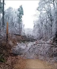  ??  ?? This is representa­tive of the ice-storm damage the Arkansas Forestry Commission found in west-central Arkansas following the winter weather event of Dec. 5 and 6. Representa­tives of the Ouachita National Forest said the worst of the damage from...