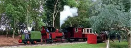  ?? ?? Above: Planet 4wDM No. 2528 Emily and O&K 0-4-0T Emmet double-head a departure from Mills Wood at the end of September 10. PHIL BARNES
Left: Fresh from overhaul and donning a headboard denoting its centenary, No. 9998 Elouise emerges from the pine trees on September 10. PHIL BARNES