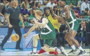  ?? Foto: EFE ?? Alberto Díaz, base del Unicaja Málaga, recuperand­o un balón ante el Patrioti Levice