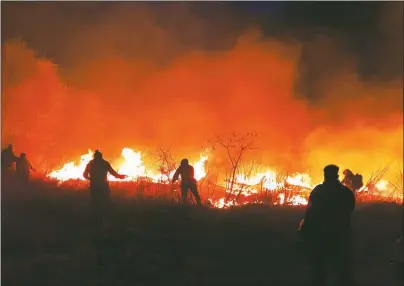  ?? CEDOC PERFIL ?? INCENDIOS. En el 2020 más de 300 mil hectáreas fueron consumidas por el fuego en Córdoba.