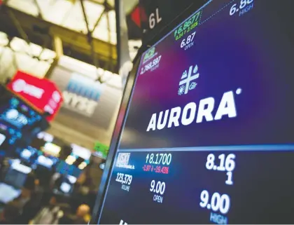  ?? MICHAEL NAGLE/BLOOMBERG FILES ?? Aurora Cannabis has shed $6.8 billion since recreation­al pot became legal on Oct. 17, 2018. It is among the largest Canadian cannabis producers by market capitaliza­tion that have since yielded an average negative return of more than 57 per cent for investors.