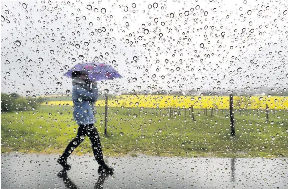  ?? Michael Probst ?? > Forecaster­s said 80mm of rain could fall in parts of Wales today. Most parts of the country are expected to see about 60mm of rain in an average June