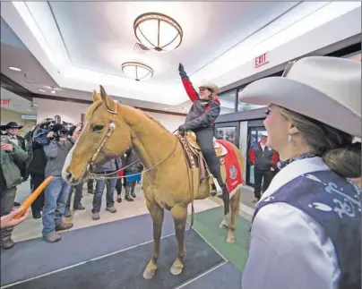  ?? CP PHOTO ?? Tara Reimer, of Steinbach, Man., rides Tuffy the horse into the lobby of a hotel in downtown Winnipeg, Man., on Friday.