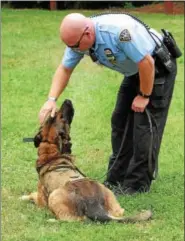  ?? JOHN STRICKLER — DIGITAL FIRST MEDIA ?? Pottstown Police Department K-9 officer Jeffrey Portock gives his K-9 partner Taz a pat on the head after completing a successful demonstrat­ion for children attending the Pottstown Parks and Recreation camp Friday.