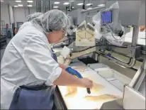  ?? ASHLEY FITZPATRIC­K/THE TELEGRAM ?? Finished cod product needs to be clean of bones, scales and bruising. Every piece of fish processed at Icewater Seafoods is scanned, as with these fillets. The fish was later pieced apart, to serve British customers’ specific needs.