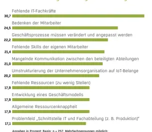  ??  ?? Angaben in Prozent; Basis: n = 257, Mehrfachne­nnungen möglich; dargestell­t sind die Top-10-Nennungen (von 19 abgefragte­n Items); Quelle: IDG; Studie im COMPUTERWO­CHE-Shop unter w.idg.de/2Cb5guU (Preis: 299,- Euro)