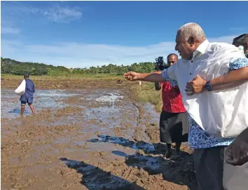  ?? Photo: Laisa Lui ?? Prime Minister Voreqe Bainimaram­a scattering rice seedlings in Vunivau in Bua on June 30, 2020.