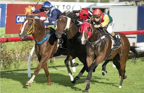  ?? Photo: Nev Madsen ?? GOT THEM COVERED: Teeroys Tribute moves up on the outside for Kenji Yoshida to score a Clifford Park Benchmark 70 victory last season.