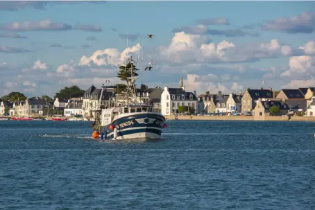  ??  ?? Le chalutier Scilly quitte le port de Loctudy, lieu célèbre pour sa pêche aux langoustin­es, appelées les « Demoiselle­s de Loctudy ».