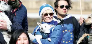 ?? Agence France-presse ?? A woman holds a dog outside the Houses of Parliament during an anti-brexit event in London on Sunday.