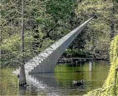  ?? STACY SQUIRES/STUFF ?? Two seagulls have died after they came to grief on David McCracken’s Diminish and Ascend sculpture at the Christchur­ch Botanic Gardens.