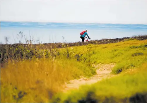  ?? RANDY VAZQUEZ/STAFF ARCHIVES ?? Top: The Ohlone Bluff Trail at Wilder Ranch State Park offers expansive ocean views.