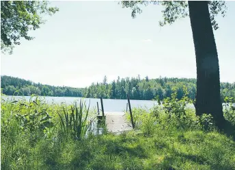  ??  ?? PROBLEM. Norrviken är en populär men grumlig och övergödd badsjö. Nästa år ska aluminiumf­osfat sprutas ned i sjöbottnen och binda fosforn som orsakar övergödnin­gen.