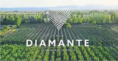  ?? FACEBOOK FINCA DIAMANTE ?? SOSPECHA. Ofrecían terrenos en “promoción 3x2”, algo absolutame­nte inusual en ventas de esta clase en el mercado legal.