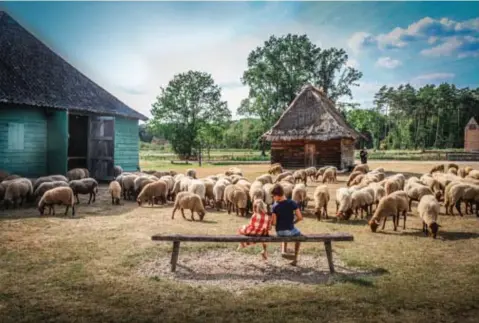  ?? FOTO BOKRIJK ?? “Het is goed dat Bokrijk via dit gratis abonnement de drempel verlaagt voor kinderen in armoede en bezoek stimuleert”, stelt Noël Slangen van het Kinderarmo­edefonds.