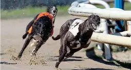  ??  ?? First out the traps: Im Sophie claims victory at Perry Barr