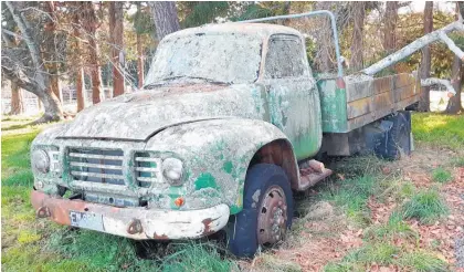  ?? Photo / Christina Hansen ?? David Ward says his iconic lichen-covered old Bedford pick-up truck at Waiwhare is not for sale because it’s “part of the furniture”.