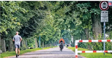  ?? RP-FOTO: ANNE ORTHEN ?? Die Stadt will auf dem Deich in Hamm, Volmerswer­th und Flehe einen Radschnell­weg bauen, der vier Meter breit sein soll.