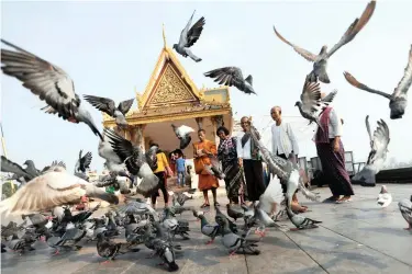 ?? PICTURE: REUTERS ?? TAKING FLIGHT: A Buddhist monk and other locals throw corn to feed the birds in front of the Royal Palace in central Phnom Penh, Cambodia.