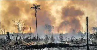  ?? GABRIELA BILO / ESTADÃO - 27/8/2019 ?? Desmate. Grupo empresaria­l que defende Amazônia deve se reunir com Dias Toffoli (STF)