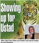  ??  ?? Other tigers have taken over Ustad’s area and his family has been displaced