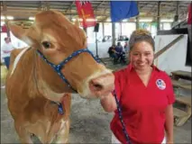 ??  ?? Jamie Trotter, of Enon Valley, Pa., shows off her 3-year-old cow before leading her into the sales ring at Saratoga County Fairground­s on Saturday.