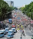  ?? Foto: Britta Pedersen, dpa ?? Tausende protestier­ten gegen die AfD Demo in Berlin.