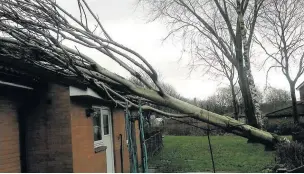  ??  ?? ●●A tree fell onto a bungalow on Raven Street, Norden, during Storm Doris