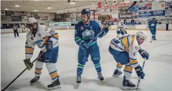  ?? —photo André Farhat ?? The Hawks scored big this week, winning their four games, and piling on precious points with the series fast approachin­g. Pictured: Captain Matt Gasuik is not intimitate­d by league leaders Carleton Place Canadians.