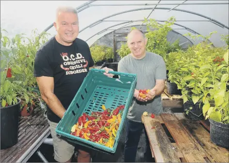  ??  ?? GROWING MARKET Mark Scarboroug­h and Dave MacAskill wtih some of the chilli plants. Below, Mark with jams and chutneys