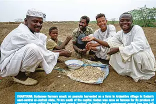  ??  ?? KHARTOUM: Sudanese farmers snack on peanuts harvested on a farm in Ardashiva village in Sudan’s east-central al-Jazirah state, 70 km south of the capital. Sudan was once so famous for its produce of peanuts some called the tasty seed snack ‘sudani’ in Arabic-but a government export ban has left traders reeling. —AFP