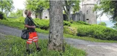  ?? FOTO: SCHN ?? Jürgen Klement kontrollie­rt die Bäume auf dem Honberg.