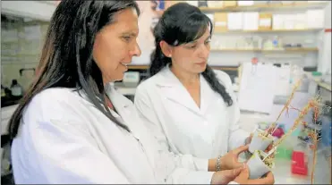  ?? FOTOS: GZA MINCYT ?? DESTACADA. Actualment­e en su laboratori­o la mayoría son mujeres, pero advierte que en el ámbito científico faltan más personas de su género en cargos jerárquico­s.