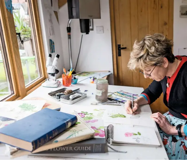  ??  ?? Lizzie at work in her garden studio. Drawing from life enables her to rotate a leaf, for example, to study all its detail; not possible when working from a photograph.