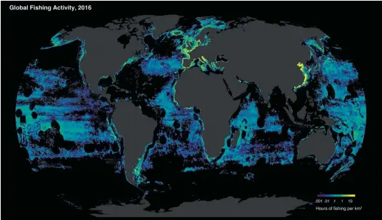  ?? IMAGE: GLOBAL FISHING WATCH ?? A map by Global Fishing Watch tracks fishing activity during 2016. Areas in yellow are among the most heavily fished.