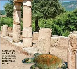  ??  ?? Ruins of the ancient city of Kaunos in Dalyan and a Loggerhead turtle