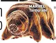  ??  ?? MARVEL Tardigrade