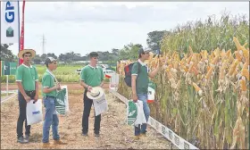  ??  ?? En la feria hay cultivos con avances tecnológic­os y otras valiosas innovacion­es agropecuar­ias.