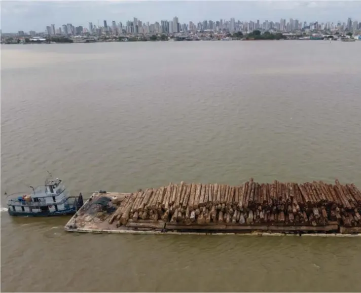  ?? ?? A ferry boat transports logs cut from the Amazon rainforest in Guama river in Belem, northern state of Para, Brazil. Photo: AP/Andre Penner.