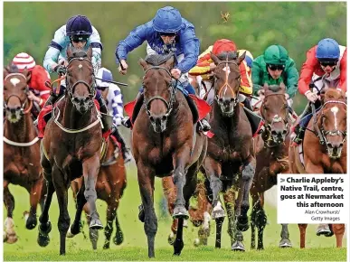  ?? Alan Crowhurst/ Getty Images ?? > Charlie Appleby’s Native Trail, centre, goes at Newmarket this afternoon