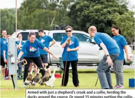  ??  ?? Armed with just a shepherd’s crook and a collie, herding the ducks around the course. Or spend 15 minutes petting the collie...