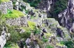  ??  ?? Maintenanc­e staff in the Inca citadel of Machu Picchu, Peru, work on the ancient rock structure that deteriorat­es constantly due to weather conditions.