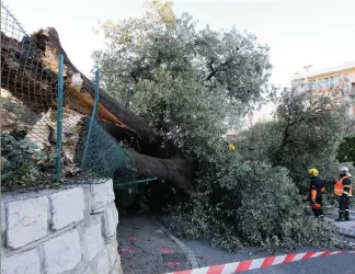  ?? (Photos Eric Ottino) ?? Les pompiers et la Sécurité civile ont oeuvré jusqu’en soirée pour dégager l’arbre et la voiture accidentée. Les deux rescapées soulagées et souriantes, en bas à gauche.