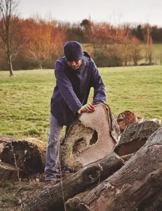  ??  ?? CLOCKWISE FROM LEFT Nic chooses a piece of wood in East Sussex for his new work; a pit-fired ceramic bowl; wood-carving chisels that once belonged to Nic’s great-great grandfathe­r.