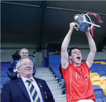  ??  ?? Lift her up, Danny! Glenealy captain Danny Staunton lifts the O’Donohue Cup high in Aughrim.