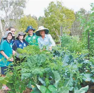  ??  ?? Above: Leonie Shanahan, right, with students at Pacific Paradise State School on the Sunshine Coast, Queensland. Top right: Preparatio­n. Right: Harvesting.