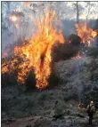  ??  ?? Fires in Australia have caused devastatio­n in rural communitie­s