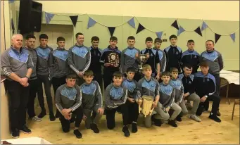  ??  ?? The Michael Dwyers under-15 hurlers who won the Wicklow ‘A’ championsh­ip and league.