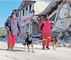  ?? |
Supplied ?? KEEGAN Naidoo and K-9 Aida with Warrant Officer Len Willemse and K-9 Jaro.